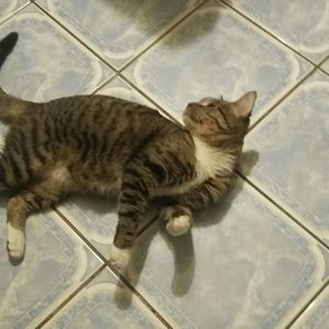 Meet your Posher, Anthony